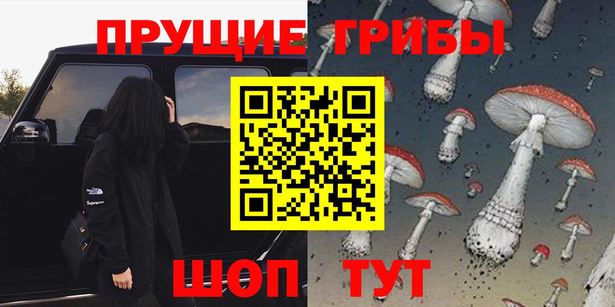 Псилоцибиновые грибы Psilocybe  Вход с VPN  Волгоград 